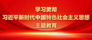 要插比影院学习贯彻习近平新时代中国特色社会主义思想主题教育_fororder_ad-371X160(2)